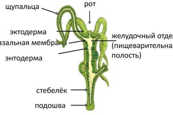 Кракен регистрация